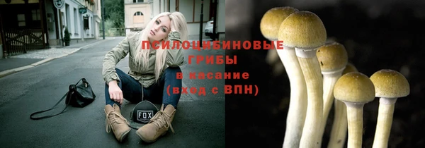 бошки Алексин