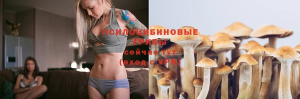 бошки Алексин
