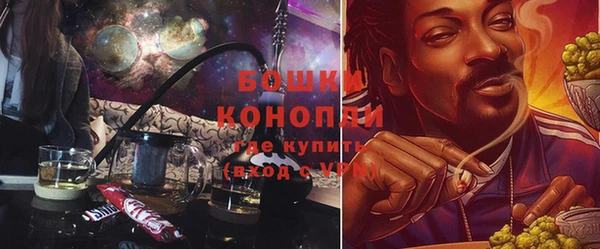бошки Алексин