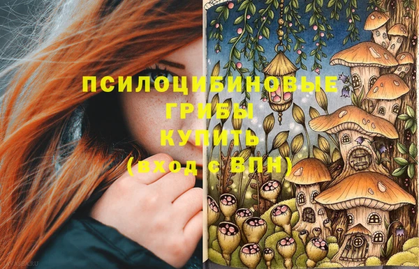 бошки Алексин