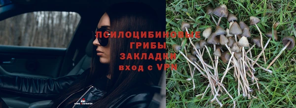 хмурый Осинники
