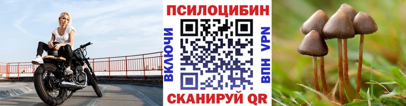Галлюциногенные грибы прущие грибы  Тамбов 