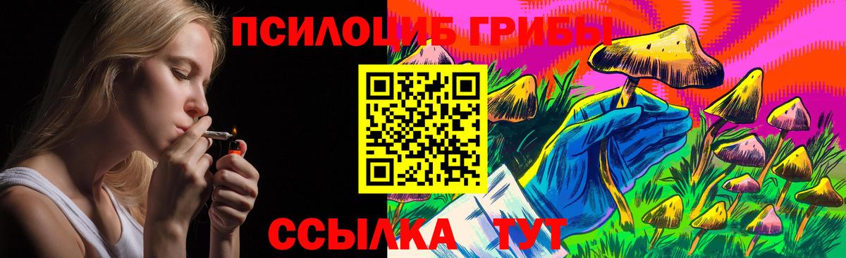 Псилоцибиновые грибы Cubensis Тамбов